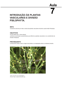 introdução às plantas vasculares e divisão psilophyta.