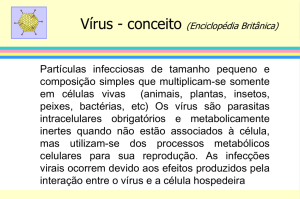 Composição química dos vírus Ácido nucléico - IPTSP