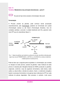 Aula: 12 Temática: Metabolismo das principais