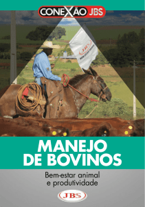 Conexão JBS: cartilha de Manejo de Bovinos / Bem