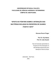 “EFEITO DO FÓSFORO SOBRE A INTERAÇÃO DAS BACTÉRIAS