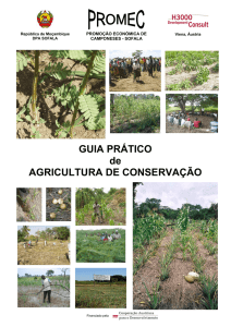 GUIA PRÁTICO de AGRICULTURA DE CONSERVAÇÃO