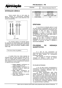 interação gênica epistasia poligenia ou herança quantitativa