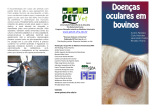 Doenças oculares em bovinos - PET