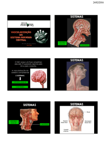 Vascularização do Sistema Nervoso