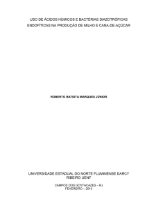 Uso de ácidos húmicos e bactérias diazotróficas endofíticas