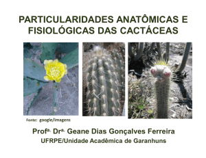 particularidades anatômicas e fisiológicas das cactáceas