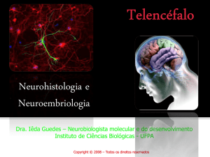 Neurohistologia e Neuroembriologia - Iêda Guedes