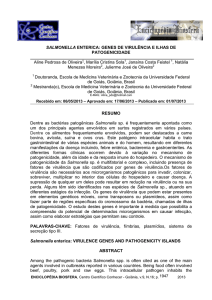 SALMONELLA ENTERICA: GENES DE