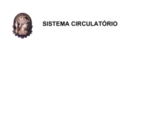 SISTEMA CIRCULATÓRIO
