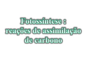 aula 9 - Assimilação de carbono e sintese de