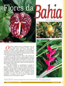 Flores da Bahia - Seagri - Governo do Estado da Bahia