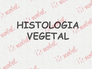 5) Material - Histologia Vegetal - Profº Cristiano