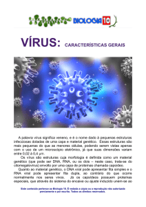 Vírus: características gerais