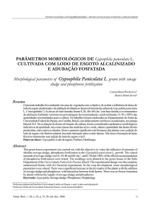 PARÂMETROS MORFOLÓGICOS DE Gypsophila