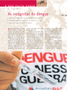 As incógnitas do dengue