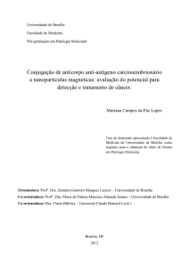 Conjugação de anticorpo anti-antígeno carcinoembrionário a