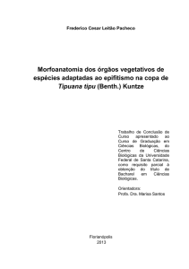 Morfoanatomia dos órgãos vegetativos de espécies adaptadas ao