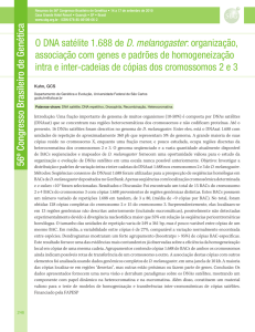 O DNA satélite 1.688 de D. melanogaster: organização, associação