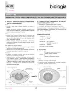 setor 1403