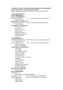 Listagem dos vírus de plantas registradas no brasil e suas