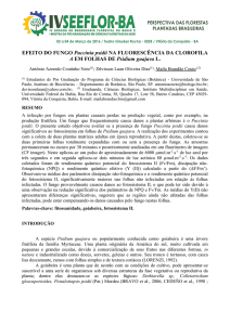 EFEITO DO FUNGO Puccinia psidii NA FLUORESCÊNCIA