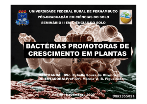 Bactérias Promotoras de Crescimento em Plantas (BPCPs)