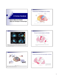 Córtex cerebral - Departamento de Fisiologia e Farmacologia