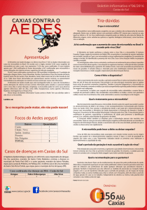 Boletim Informativo n° 06/2016