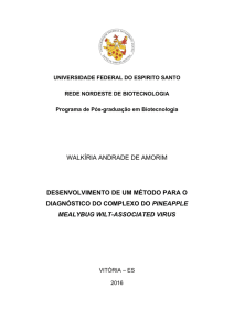 walkíria andrade de amorim desenvolvimento de um método para o