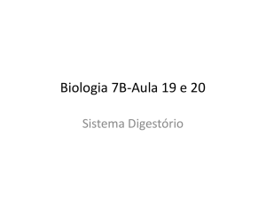 Biologia 7B-Aula 19 e 20