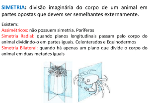 SIMETRIA: divisão imaginária do corpo de um animal em partes