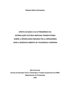 Heloisa Helena Gonçalves EFEITO DA BAIXA E - eeffto