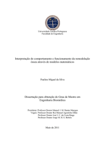 Dissertação Paulino Silva - Universidade Católica Portuguesa