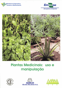 Plantas Medicinais: uso e manipulação