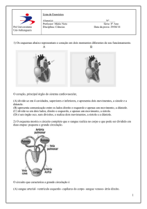 1 1) Os esquemas abaixo representam o coração em dois