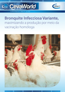 Bronquite Infecciosa Variante