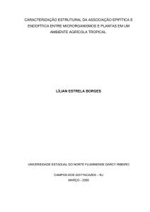 caracterização estrutural da associação epifítica e endofítica