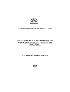 BACTÉRIAS DE NIM NO CONTROLE DO COMPLEXO Meloidogyne