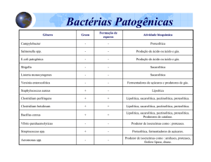 Bacterias Patogênicas