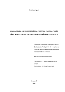 avaliação da superexpressão da proteína erg e da fusão gênica