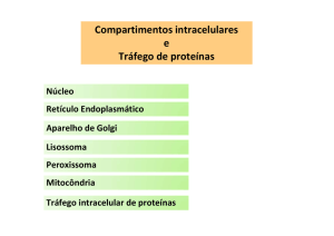 Compartimentos intracelulares e Tráfego de proteínas
