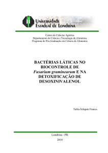 BACTÉRIAS LÁTICAS NO BIOCONTROLE DE Fusarium