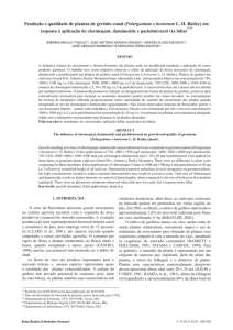 Produção e qualidade de plantas de gerânio zonal (Pelargonium x