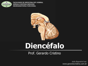 Diencéfalo - Dr. Gerardo Cristino