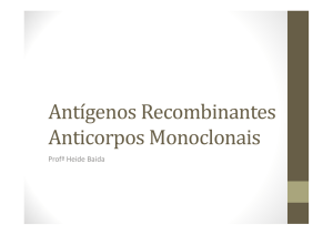 Antígenos Recombinantes Anticorpos Monoclonais