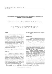 Concentração da solução nutritiva no crescimento da planta, na