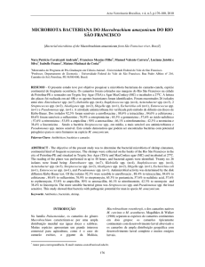 MICROBIOTA BACTERIANA DO Macrobrachium amazonicum DO