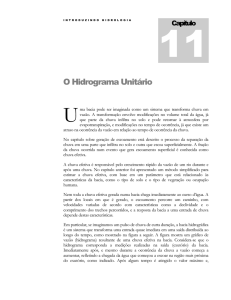 O Hidrograma Unitário