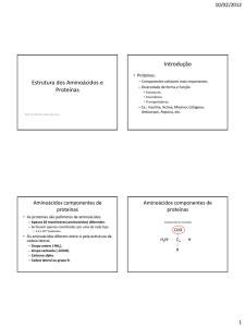 Estrutura dos Aminoácidos e Proteínas